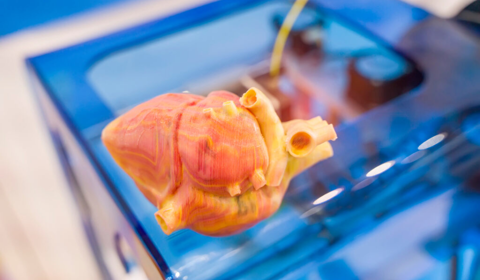 Impressão 3D na medicina: como usar?